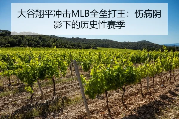 大谷翔平冲击MLB全垒打王：伤病阴影下的历史性赛季
