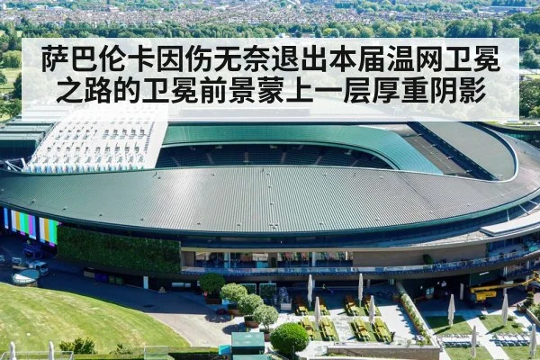 萨巴伦卡因伤无奈退出本届温网卫冕之路的卫冕前景蒙上一层厚重阴影