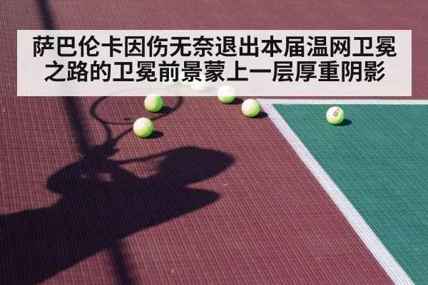 hard court tennis player